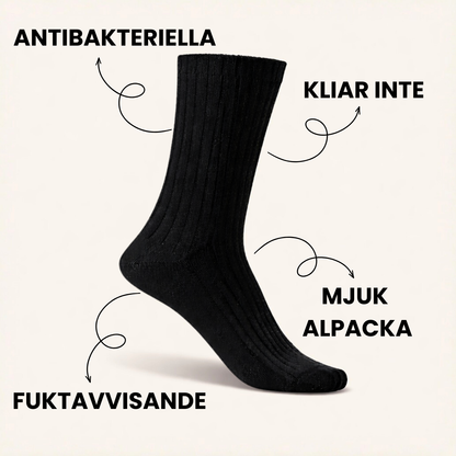 Alpacka Premium